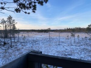 Toppfågeljakt.