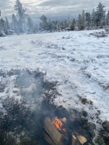 Toppfågeljakt.